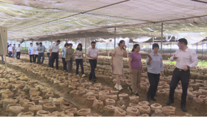 尋烏之行 專家組調研食用農產品產業(yè)發(fā)展新路徑